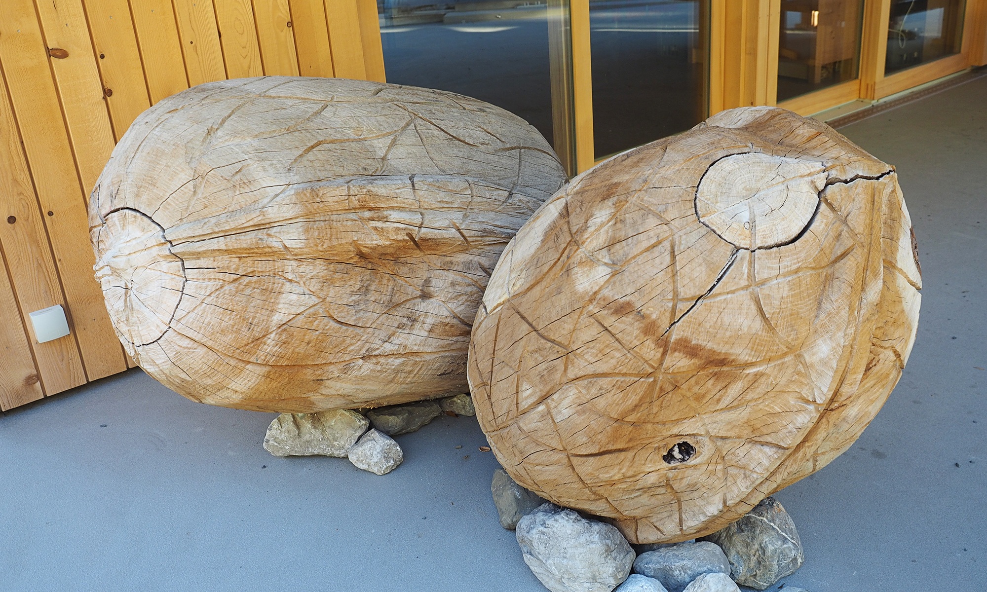 Zwei grosse Walnüsse aus Holz vor dem Wartehäuschen