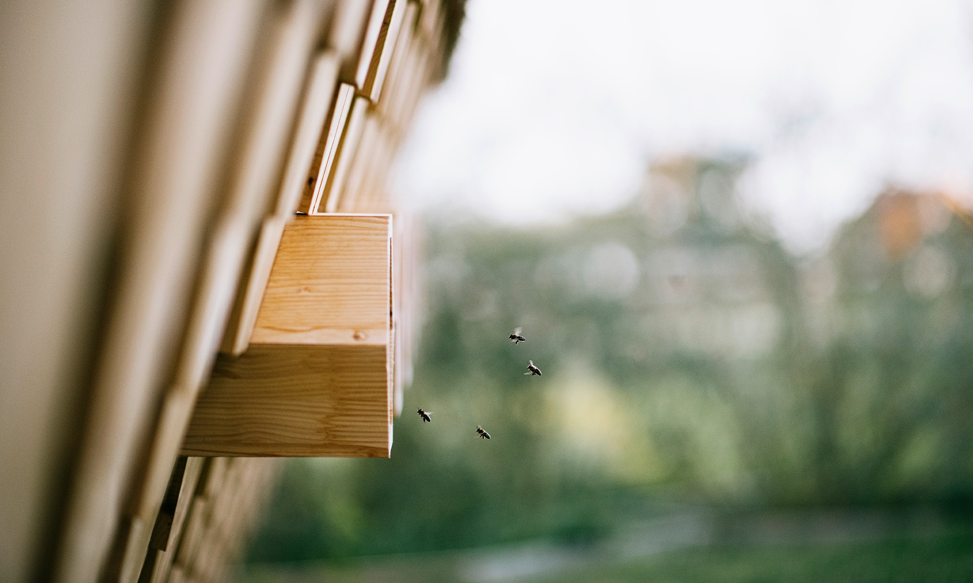 Die Holzfassade und Bienen-Eingänge des Bienenhauses im Detail