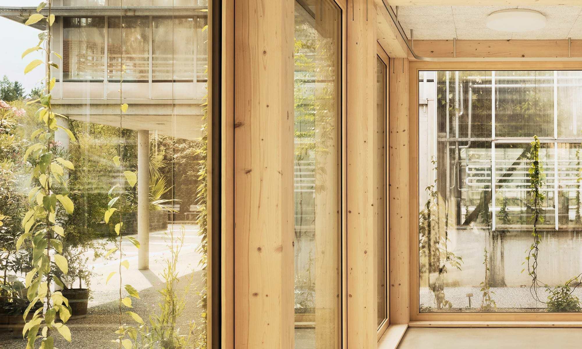 Blick durch die Holz-Glas-Wände aus dem neuerbauten Vortragssaal im botanischen Garten in St. Gallen