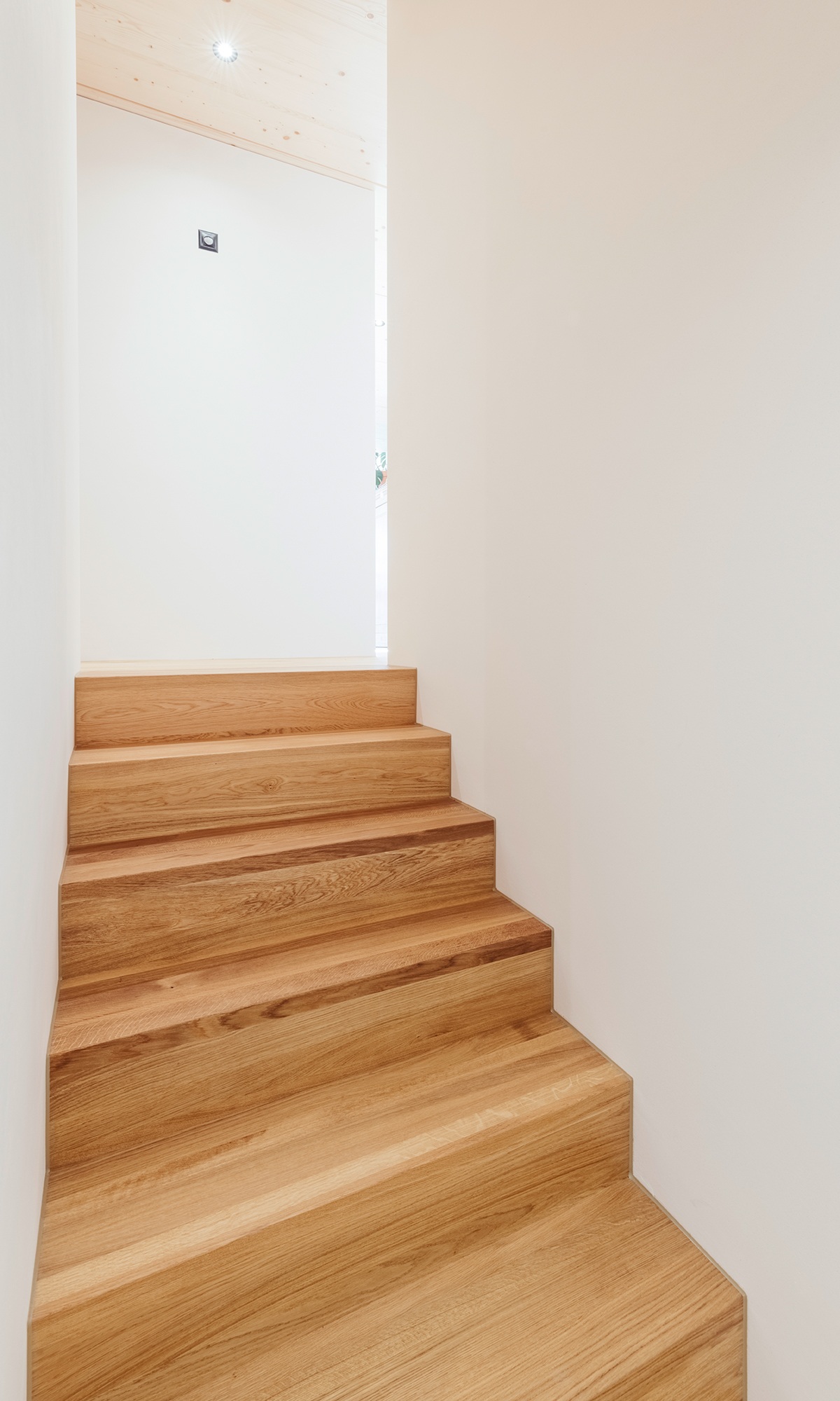 Weisse Innenwände im Korridor mit Treppenstufen aus Holz.