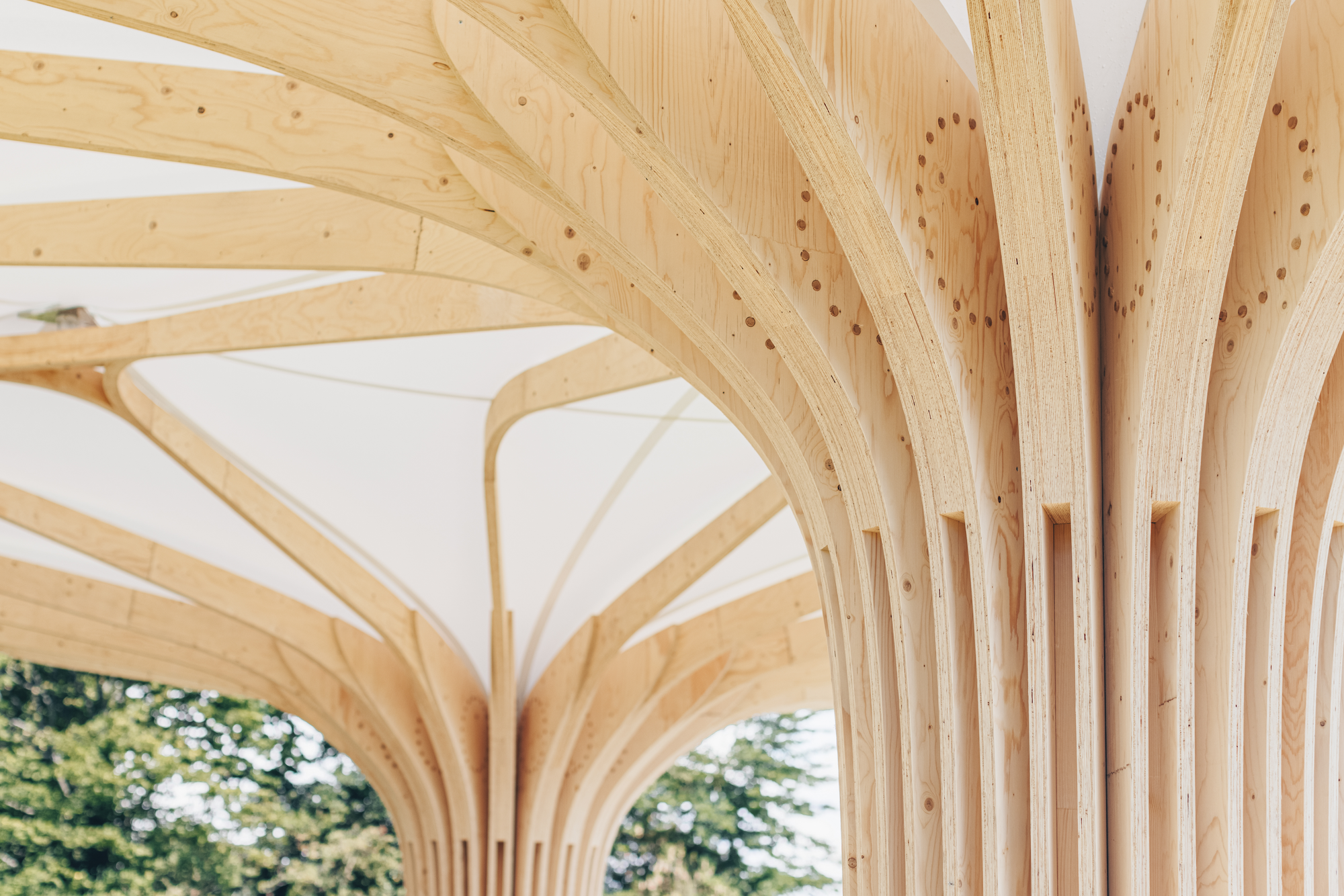 Nahaufnahme der Lamellenstrukturen des Holzpavillons
