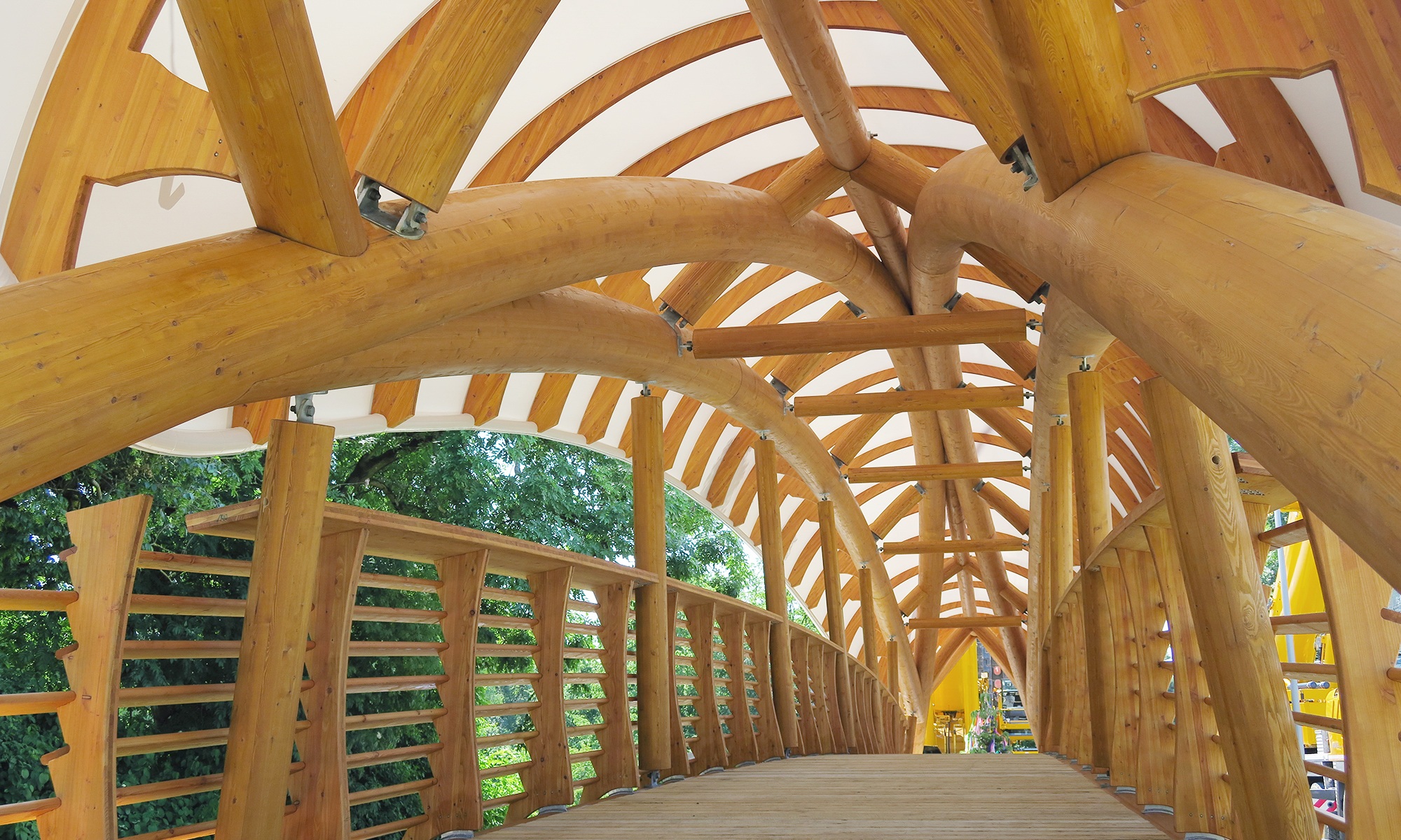Die Holzkunstbrücke Aubrugg ist von innen zu sehen. Geschwungene massive Holzstrukturen und ein hohes Holzgeländer sind zu erkennen.