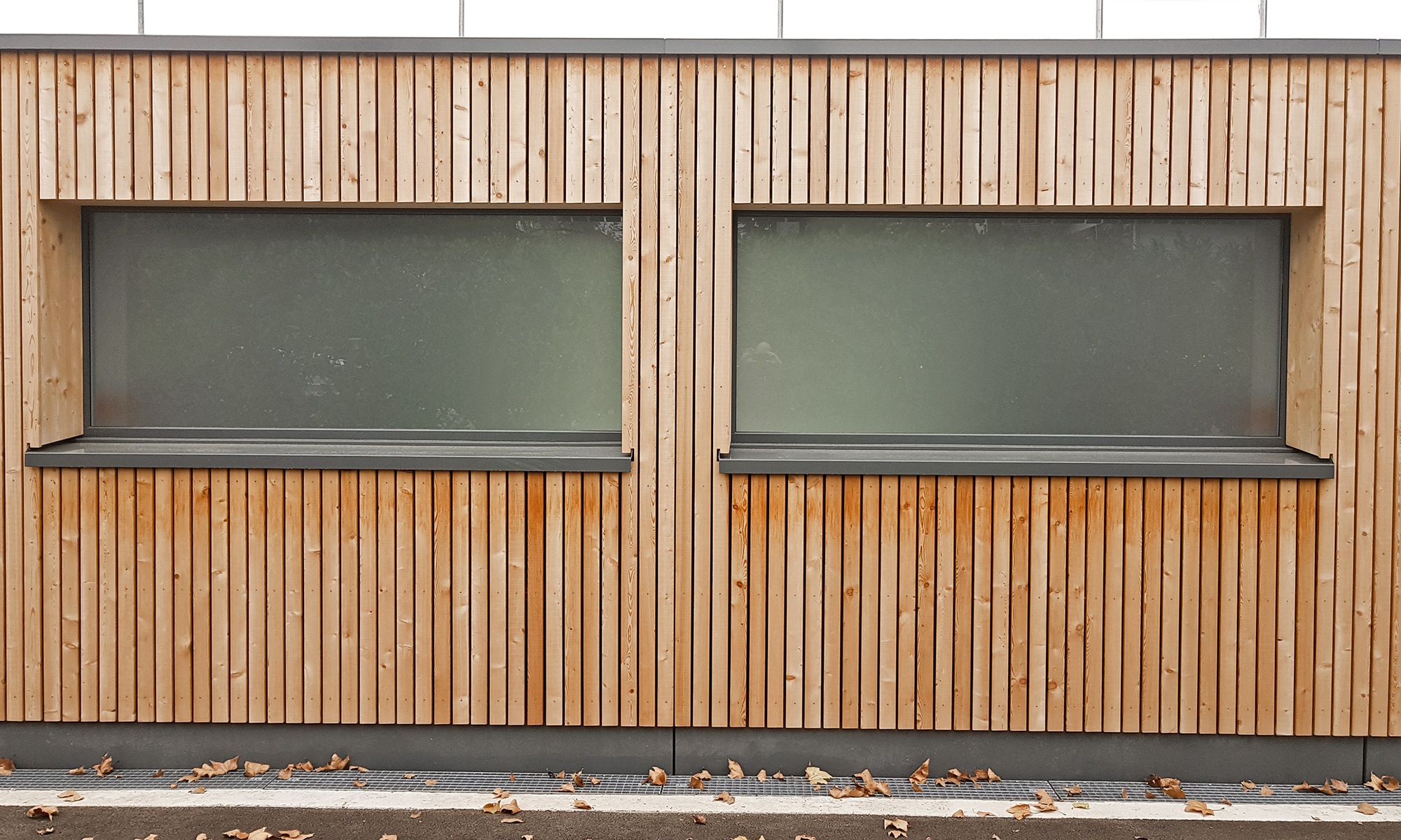 Detailansicht der Holzfassade mit zwei Fenstern 