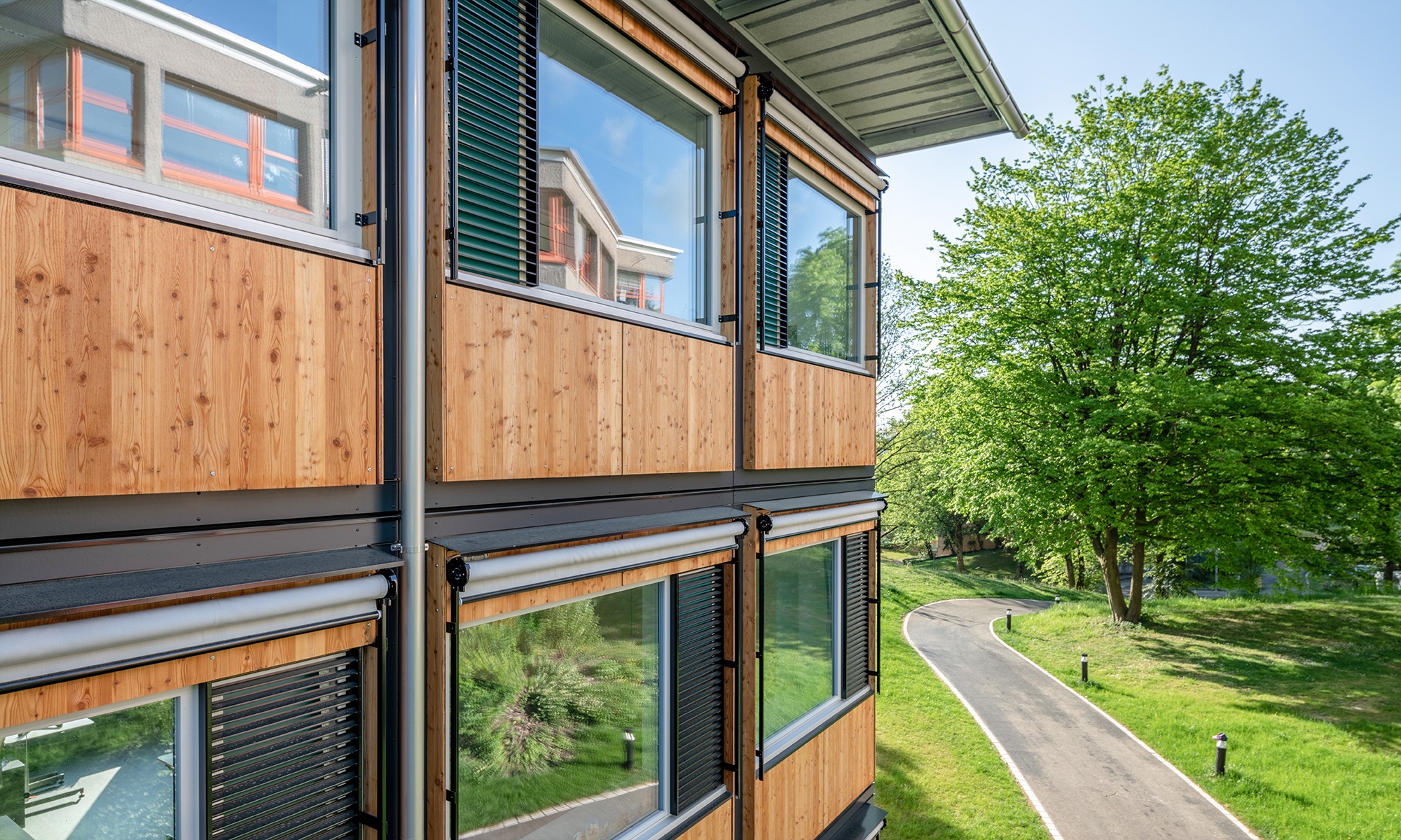Querformatbild mit seitlicher Ansicht der Holzfassade des modularen ZM10-Schulpavillons Sihlweid in Zürich