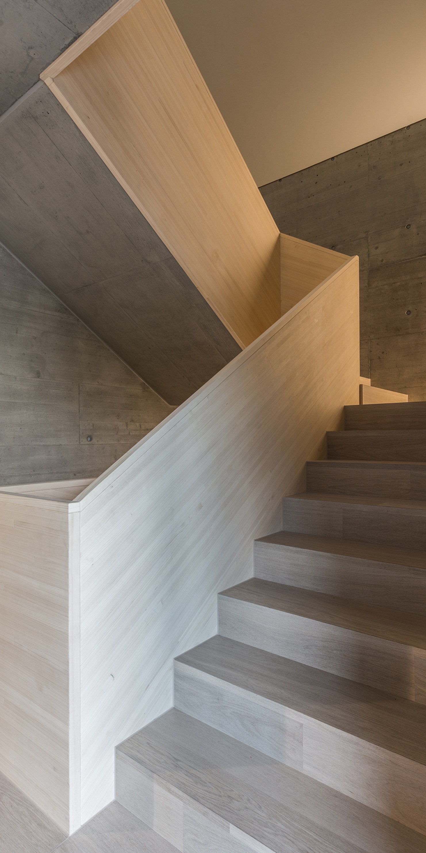 En association avec le béton, une cage d’escalier aux lignes simples et élégantes a été créée.