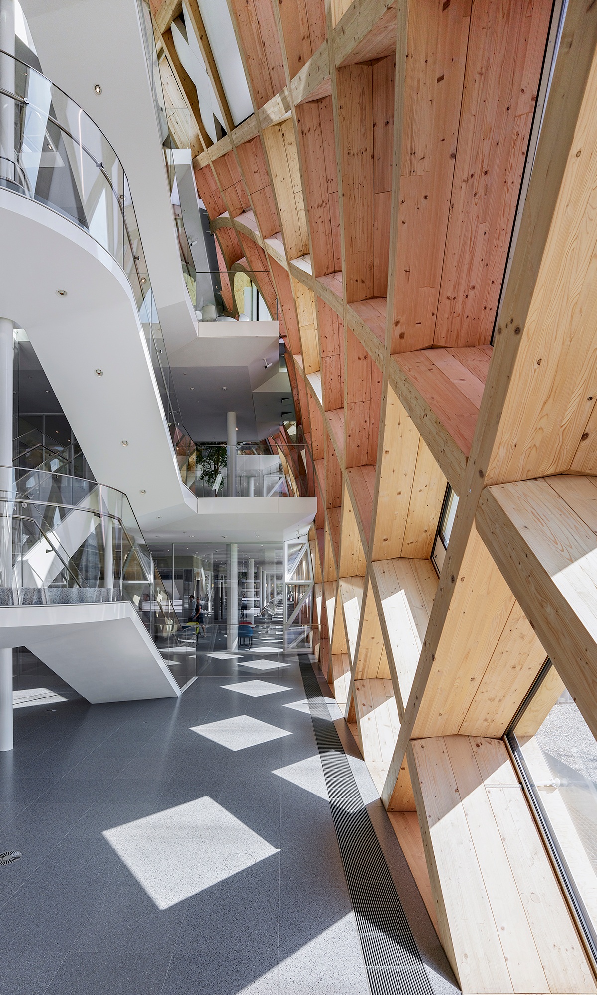 Blick auf die einmalige Holzunterkonstruktion im Innern des Bürogebäudes von Swatch