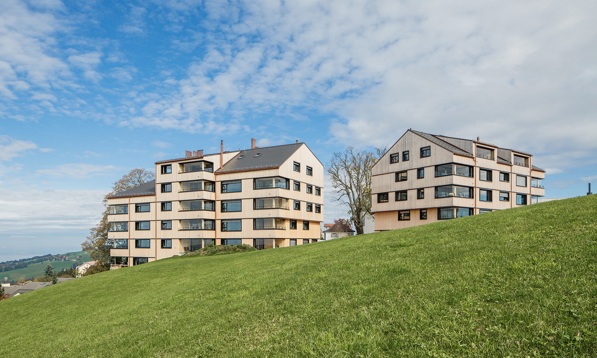 Two multi-storey timber residential buildings on a green meadow against a blue sky