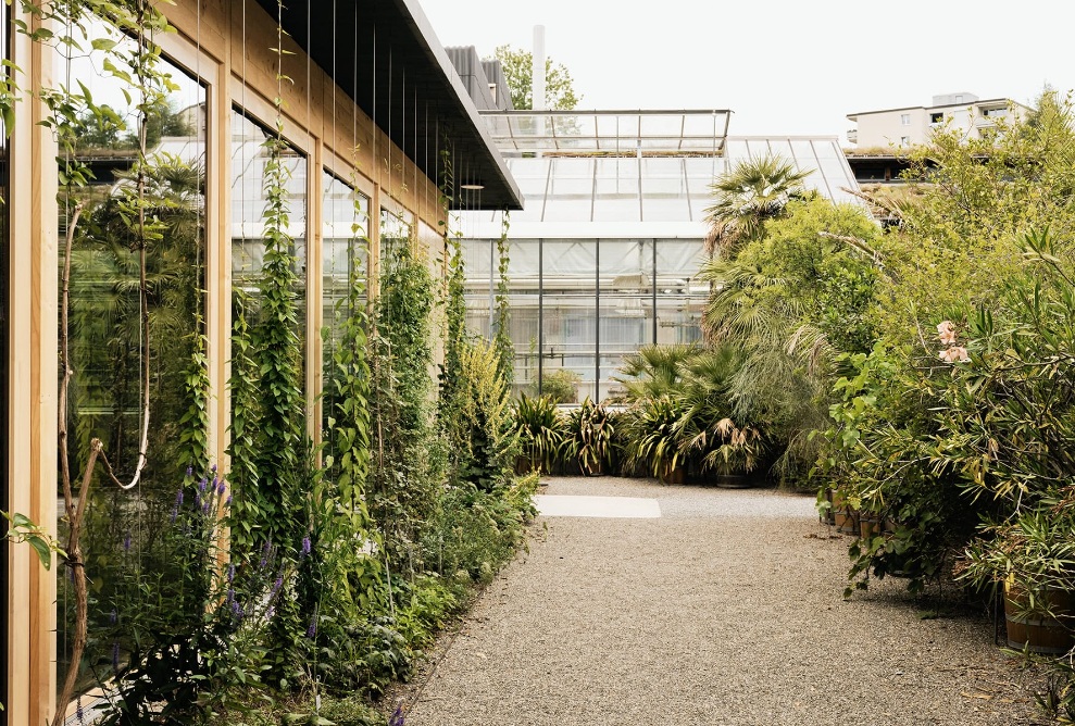 Chemin de gravier passant entre les plantes et les buissons avec la salle de conférence nouvellement construite en bois au jardin botanique de Saint-Gall. 