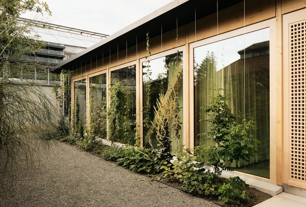 Salle de conférence au jardin botanique de Saint-Gall: des plantes grimpent vers le toit devant les vitres de ce nouveau bâtiment en bois.