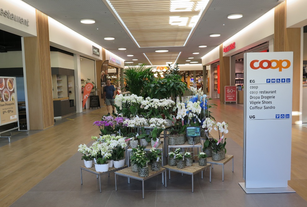 Entrance area in the Coop Super Center with light wood flooring and sales area with flowers. 