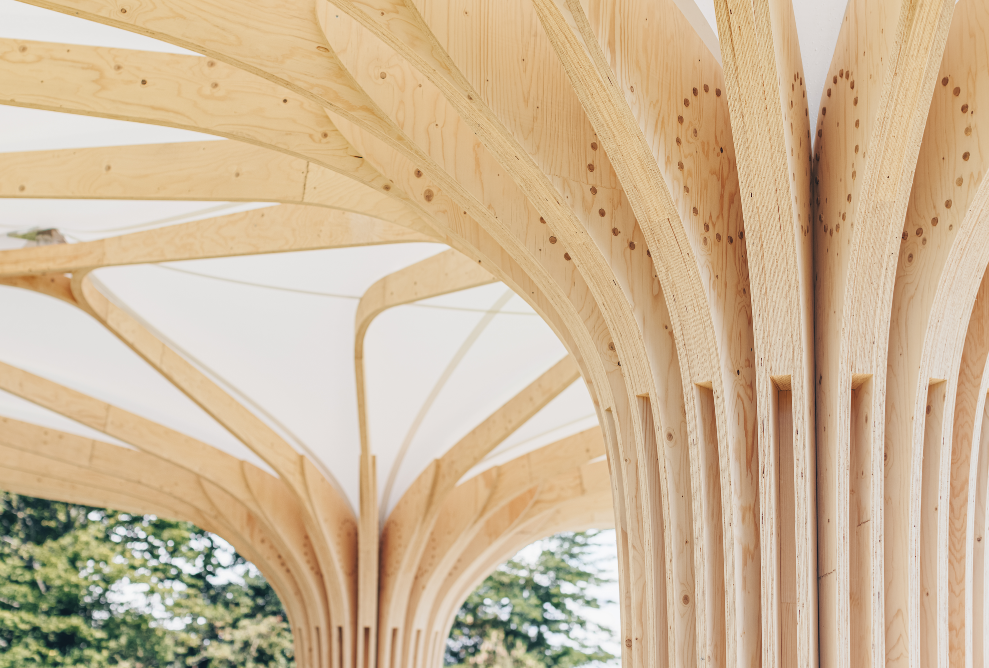 Gros plan sur les structures des lattes du pavillon en bois
