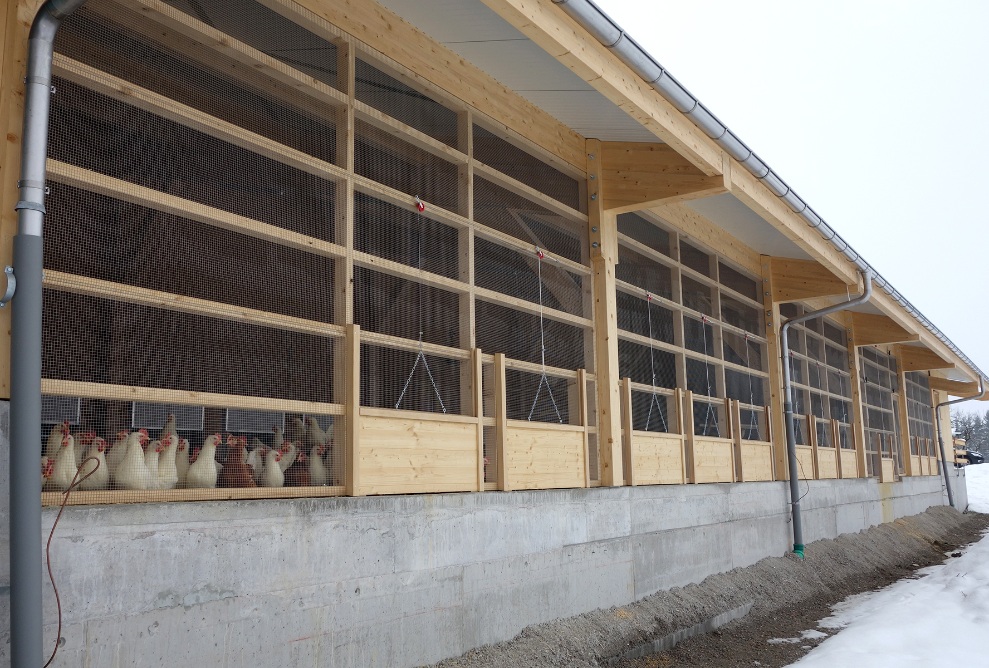 The double doors allow the animals to go outside, giving them the choice between the shelter of the stall or the sunshine depending on the weather.