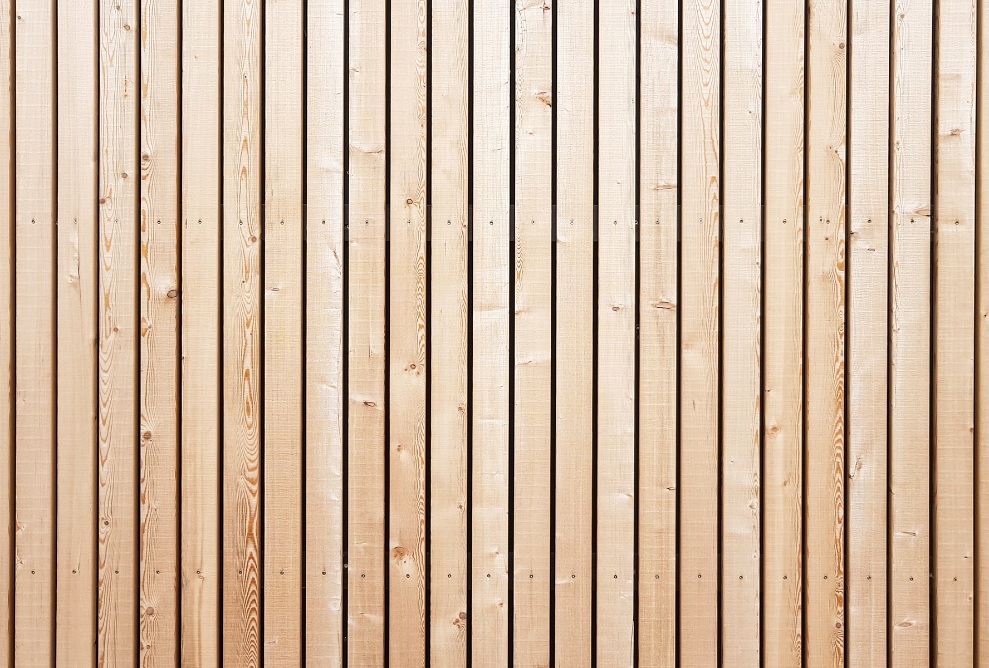 Timber facade with vertical larch-wood slats