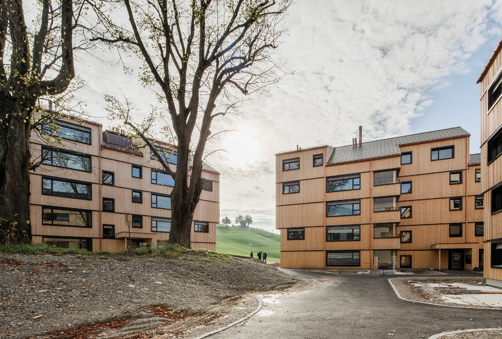 Three multi-storey timber constructions grouped around a courtyard with two trees