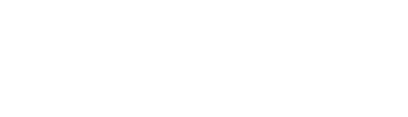 logo-blumer-lehmann-neg